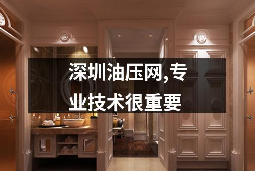 深圳油压网,专业技术很重要