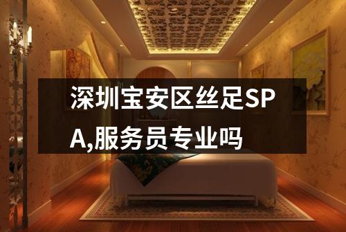 深圳宝安区丝足SPA,服务员专业吗